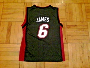 lebron james heat jersey ebay