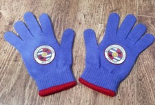Reading FC blue gloves adult size
