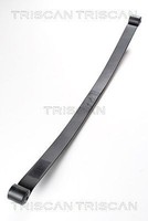 Triscan Federnpaket 8765 24006 Passend FüR Nissan Opel Renault