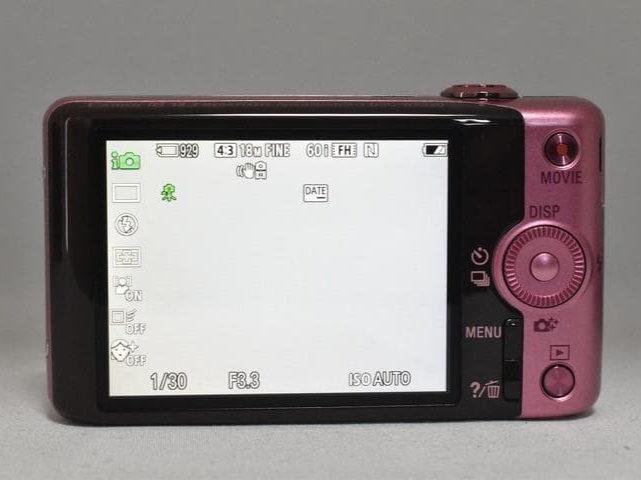 SONY Cybershot DSC-WX220 pink 18.2MP 10x Zoom Digital Camera w