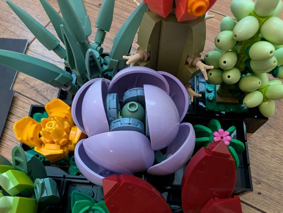 LEGO Botanicals 10309 Succulents, photo 3 of 5