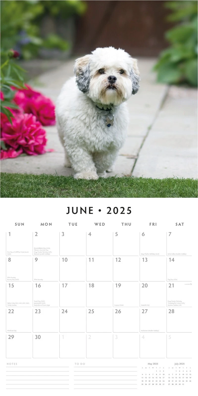 Lhasa Apsos 2025 Square Wall Calendar