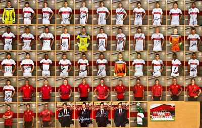 VfB Stuttgart autograph card 2015-16 original signed 1 postcard choose