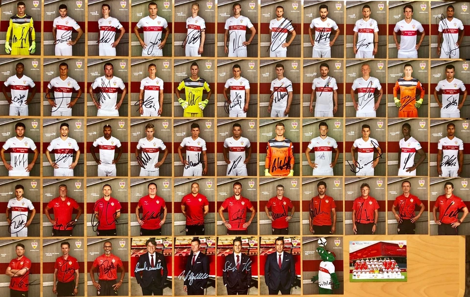 VfB Stuttgart Autogrammkarte 2015-16 original signiert 1 AK aussuchen