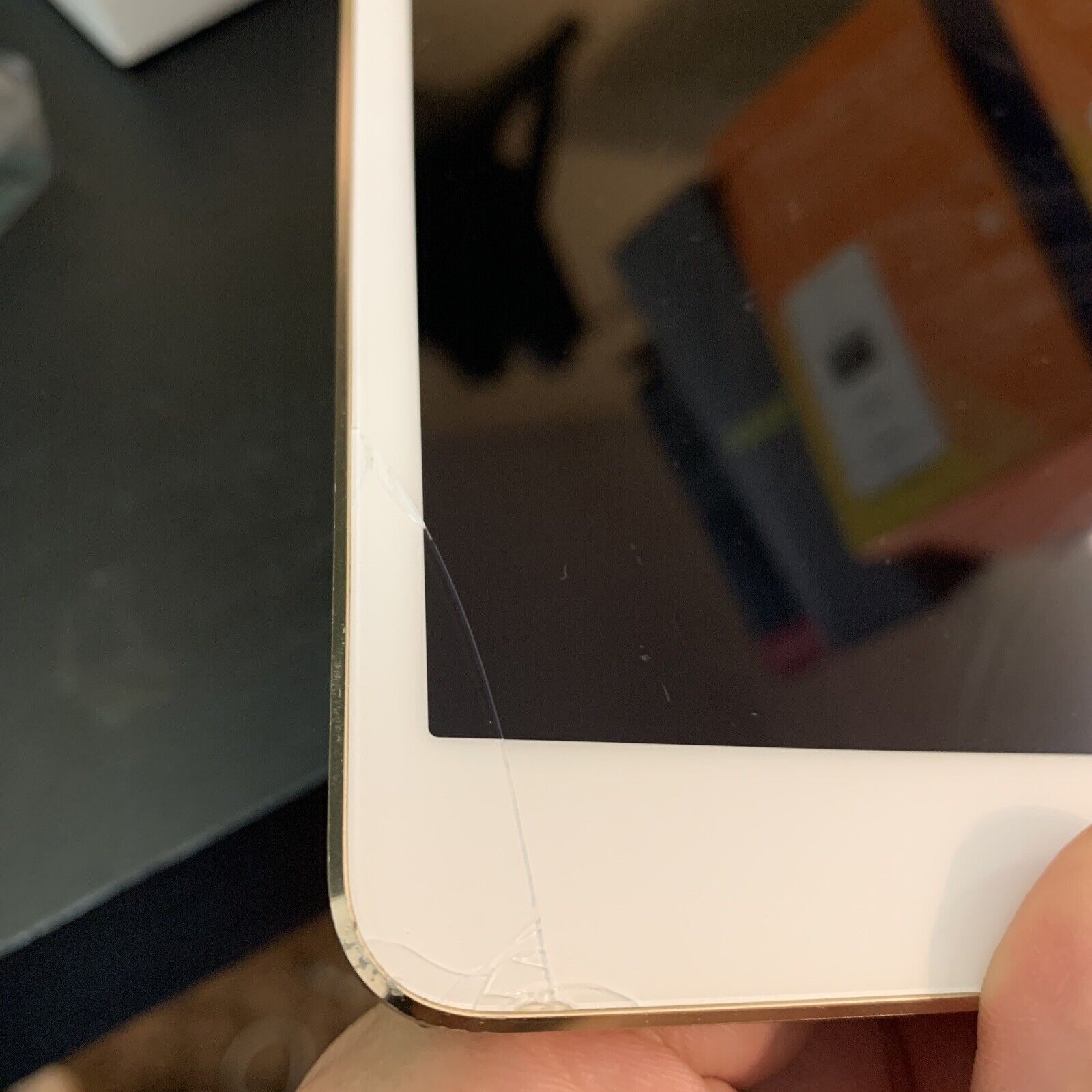 Apple iPad mini 3 16GB, Wi-Fi + Cellular (Unlocked), 7.9in - Gold 