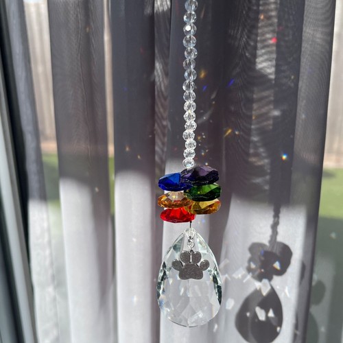 Neu Glas Sonnenfänger Haustier Verlust Denkmal Denkmal ~ Regenbogenbrücke ~ Pfote Charm - Bild 4 von 11