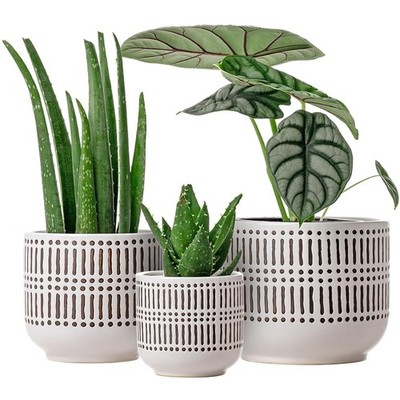 Stylish Indoor Outdoor Ceramic Planters, 3-Pack