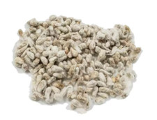 Algodoeiro Semente - Gossypium Herbaceum