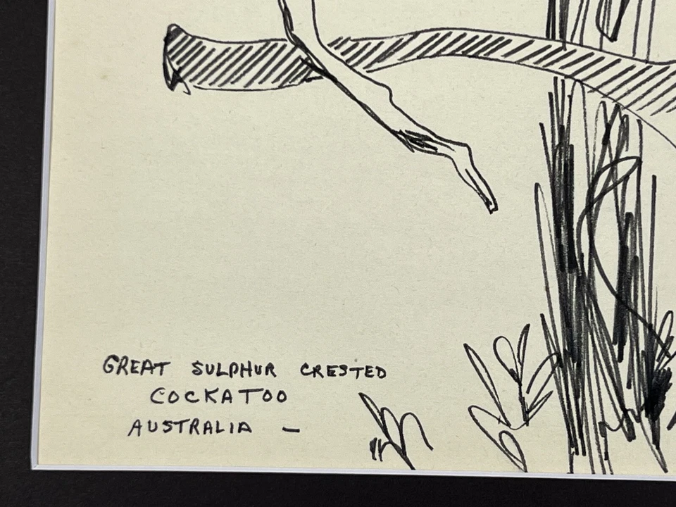 "De colección Cacatúa con cresta en dibujo de árbol 11x14"" Elise Speights arte popular boceto a tinta" Foto 3 de 4