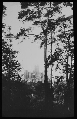 ANTIKE magische Laternenrutsche WELLS KATHEDRALE DURCH DIE BÄUME UM 1910 FOTO