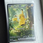 Pokémon Pikachu ex 276/217 Asc Heroes SIR PSA 10 Contendor