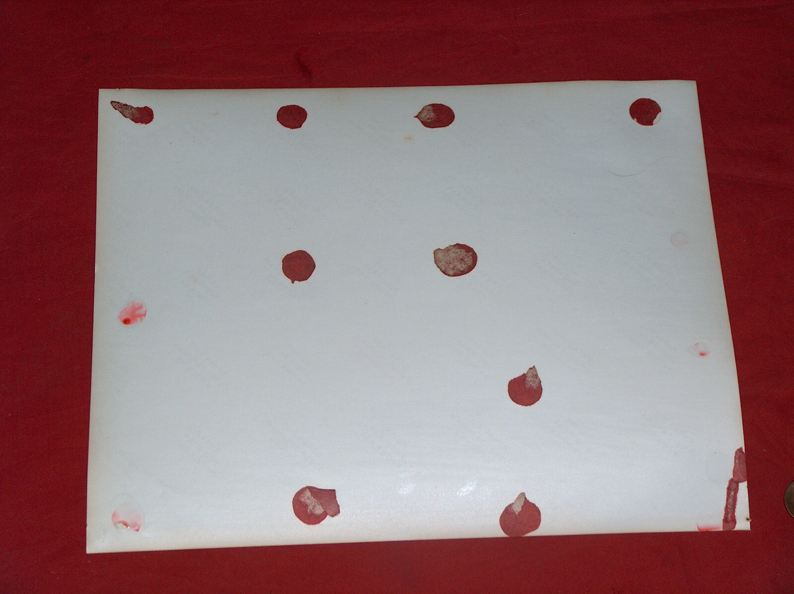 Bild 4 von 4