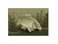Delphin Matte Catchme Karpfen 60X40Cm FußMatte Carp Matte Karpfenmatte New