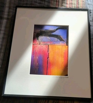 SCOTT E. MATYJASZEK 3D PHOTOGRAPHIC MATTED AND FRAMED PICTURE 8'' By 10''