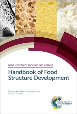 Ian Norton Handbook of Food Structure Development (Hardback)