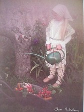 Carte Postale   CHRIS NIKOLSON   Format 12x17cm  Postcard  CP