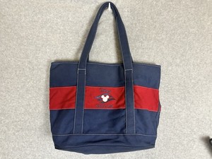 Disney Cruise Line Bag | eBay
