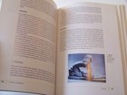 Bild 8 von 11