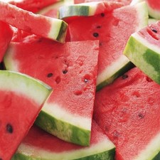 Watermelon Patch Fragrance Oil Candle/Soap Making Supplies  Free Shipping 