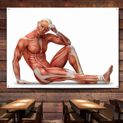 Sitting Posture Muscles Show Poster Wall Charts Human Anatomy Wall Art Flag