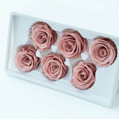 Preserved Rose FLower 6Pcs / Gift Box Head 5-5.5cm - Bild 62 von 73