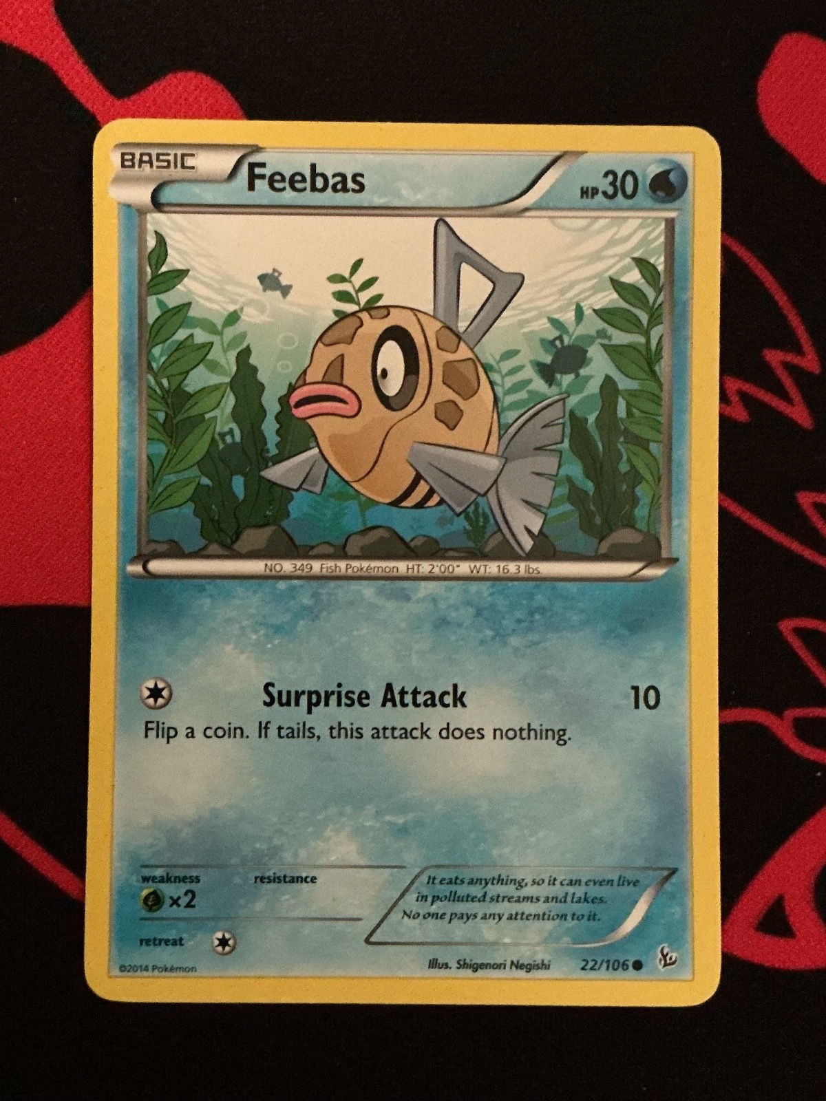 Feebas 22/106 Common Flashfire Pokemon Lightly Played