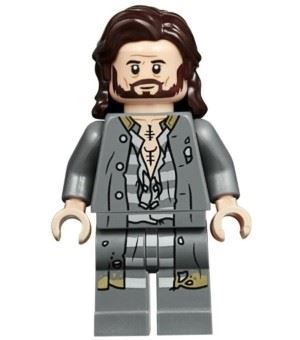 LEGO Harry Potter Sirius Black Minifigure from 75945