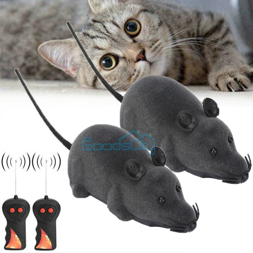best remote control mouse cat toy