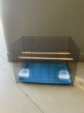 bird cage Budgie Canary Pigeon