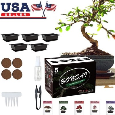 5 Bonsai Tree Kit Complete Plant Growing Tools, Indoor Gardening Potted DIY Gift