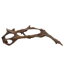 XXL Mangrovenwurzel Nr.3013 Aquarium Wurzel Mangrove Holz Deko Aquascaping 