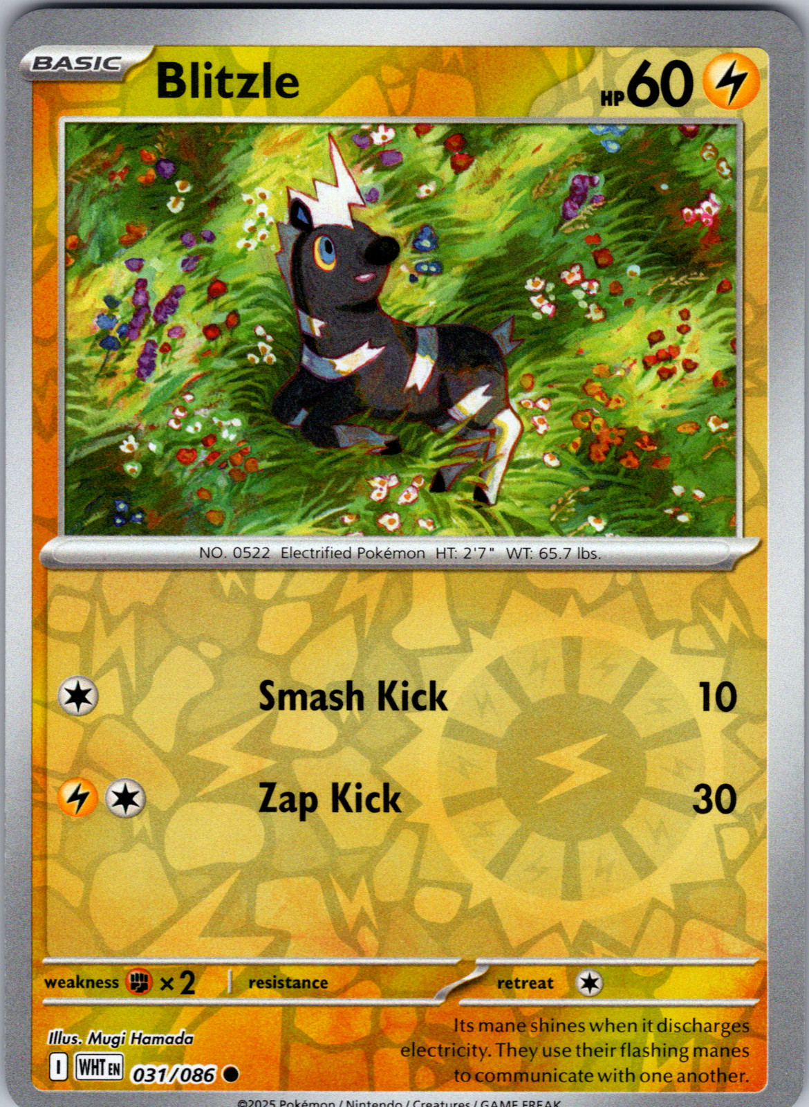 Blitzle Reverse Holo 031/086 SV: White Flare Common - NM