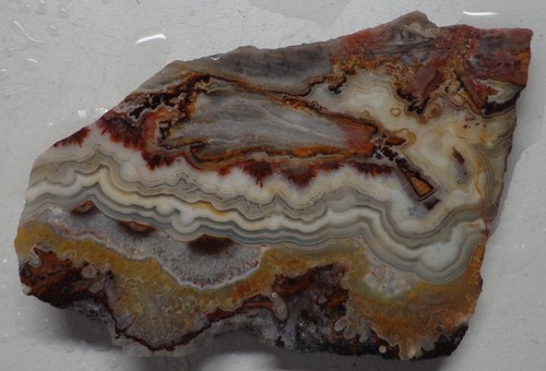 WRG- Mexican Crazy Lace Agate Slab 29 grams Mexico Lapidary Plume Moss