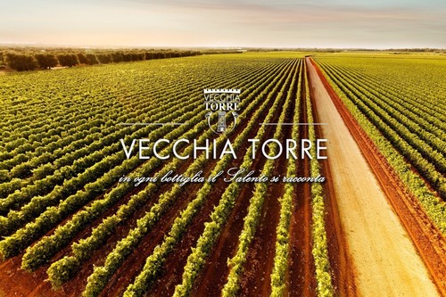 Vecchia torre bag in box 5 litri rosato Negroamaro IGP Salento - Imagen 2 de 2