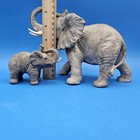 Foto 10 di 11