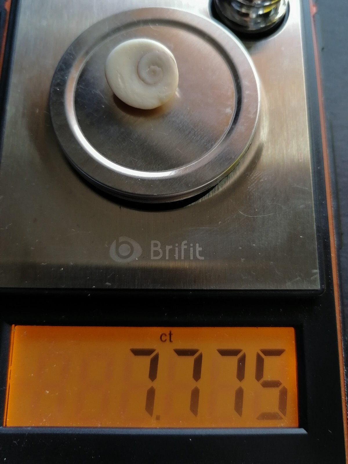 Bild 16 von 20