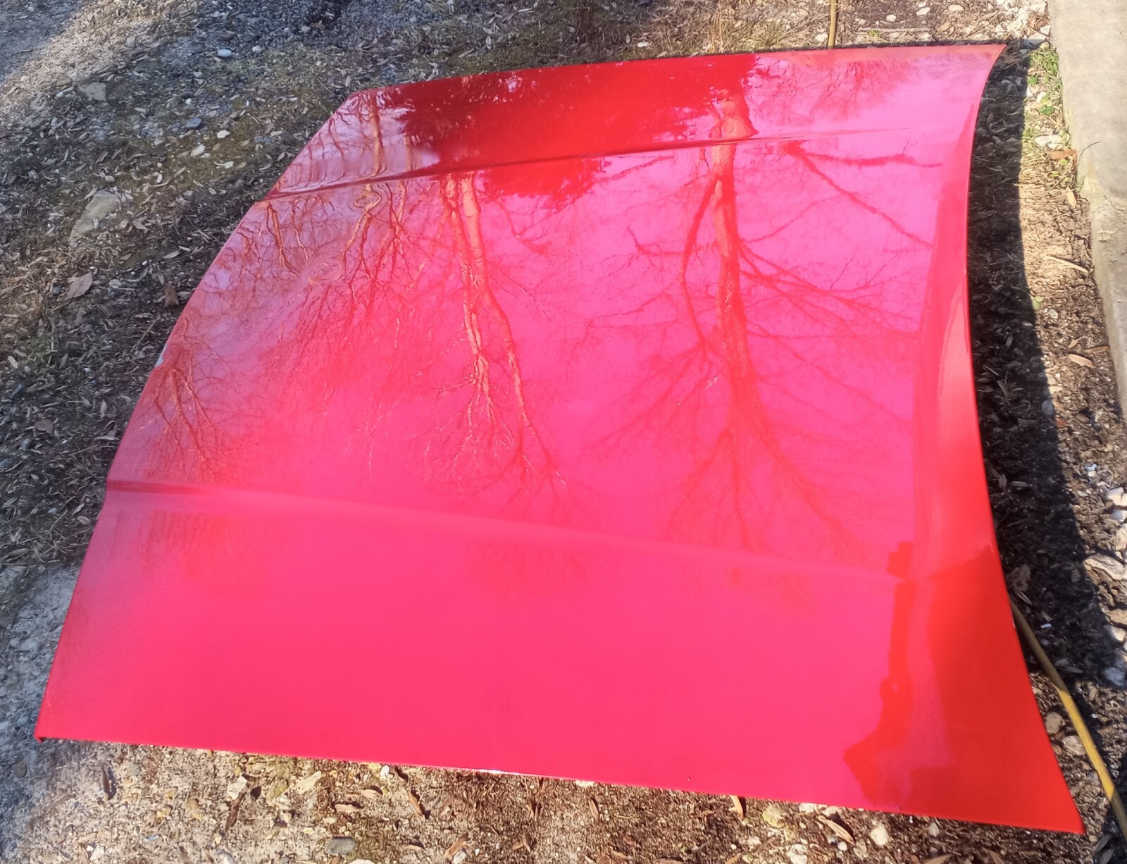NO SHIPPING ! SIN ENVIO 1983 1984 1985 1986 1987 1988 1989 Maserati Biturbo Hood