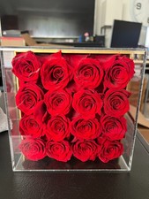 16 Preserved Flowers Roses Box Anniversary, Wedding or Valentines Day Gift