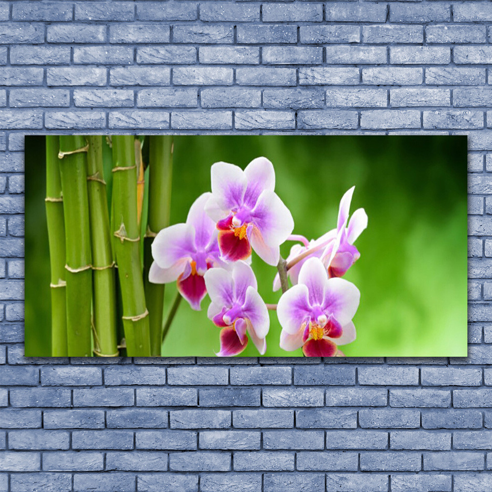 Bambou Tableau Plexiglas 140x70 cm - Ambiance Zen pour Salon et Chambre