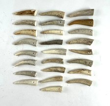 25 - 1 " DRILLED DEER ELK ANTLER TINE TIPS ARTS CRAFTS JEWELRY TOGGLES Bag 1882