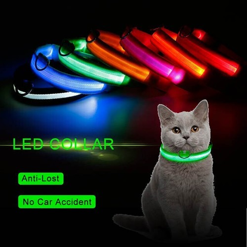 Dog Cat Pet LED collar belt USB rechargeable adjustable flashing night
