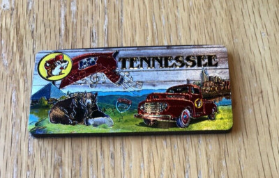 Two Sided Buc-ee's Souvenir Tennessee Magnet - Metallic- Beaver Believer - New
