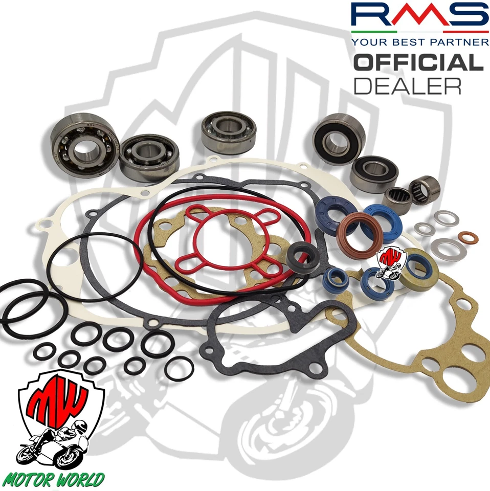 KIT REVISIONE MOTORE COMPLETO AM6 Cuscinetti SKF + 7 Paraoli + Guarnizioni