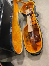 Brand New Saraswati Veena with Fiberglass Case and Cloth Cover
