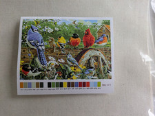 New DIY Paint By Number Birds 16" by 20" Canvas 3 Brushes Paint  Hangers