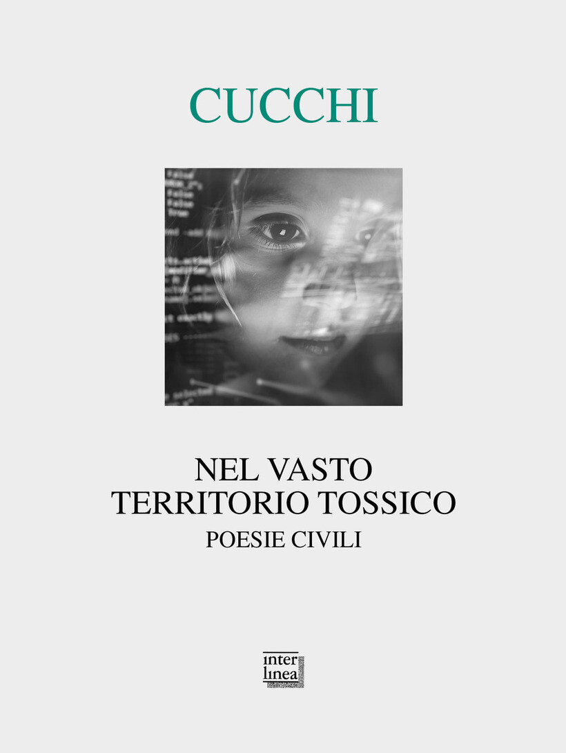 NEL VASTO TERRITORIO TOSSICO - CUCCHI MAURIZIO 9788868574277