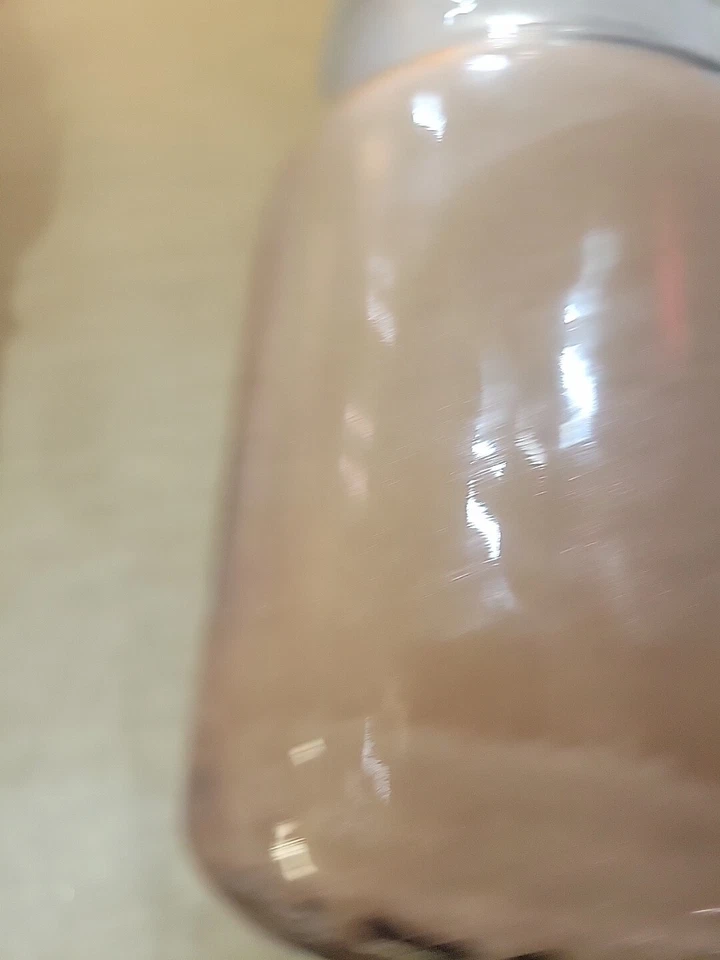 Yankee Candle Tarde Scrapbooking 22oz VELA TARRO CLÁSICO - NUEVO Foto 2 de 4