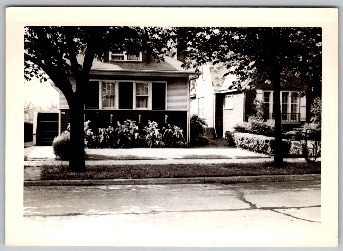 Picture 1