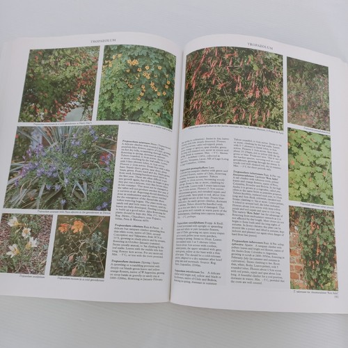 Plants for Warm Gardens Volume 1 by Roger Phillips Paperback - Picture 15 of 16