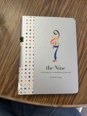 the Nine: A Journal for Expectant Mothers Pregnancy Diary Memory Book Baby